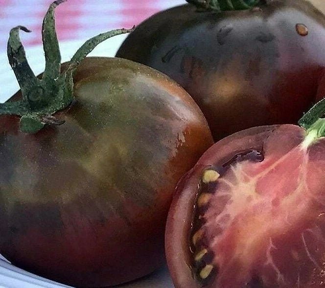 BLACK PRINCE TOMATO SEEDS 50+ INDETERMINATE vegetable GARDEN FREE SHIPPING Garden Plants