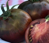 BLACK PRINCE TOMATO SEEDS 50+ INDETERMINATE vegetable GARDEN FREE SHIPPING Garden Plants