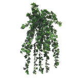 Mini German Ivy with 825 Leaves 30 Stems 34in Green Green Plant