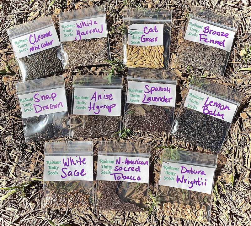 Green Witches Seed Collection Medicinal Flower Magic Ceremonial Plants Garden Garden Plants