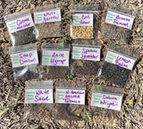 Green Witches Seed Collection Medicinal Flower Magic Ceremonial Plants Garden Garden Plants