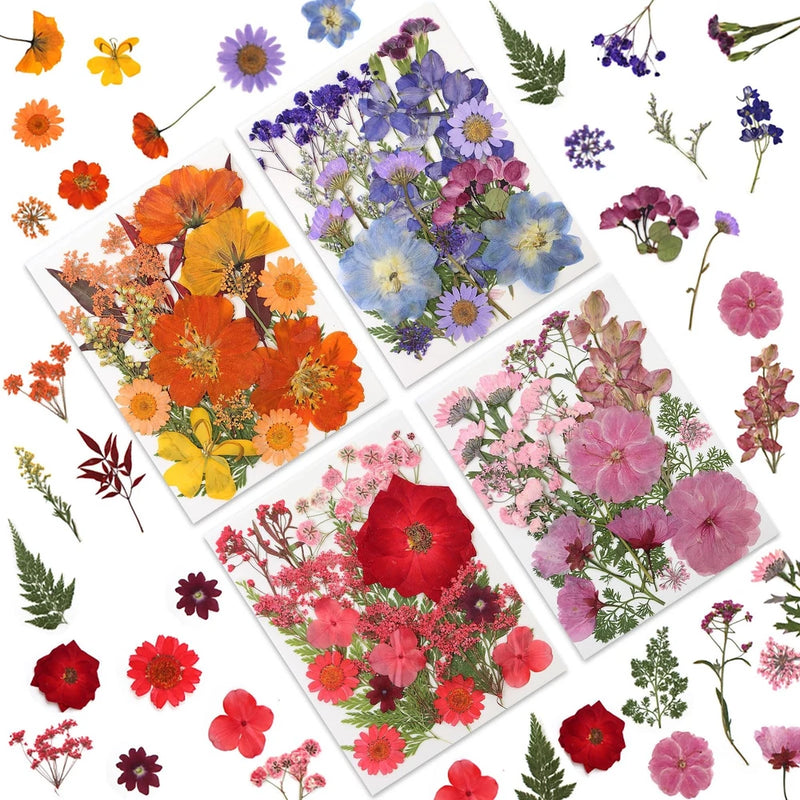 80 Pcs Dried Pressed Flowers for Crafts, Real Natural Warm Toned 80p Dried Flower