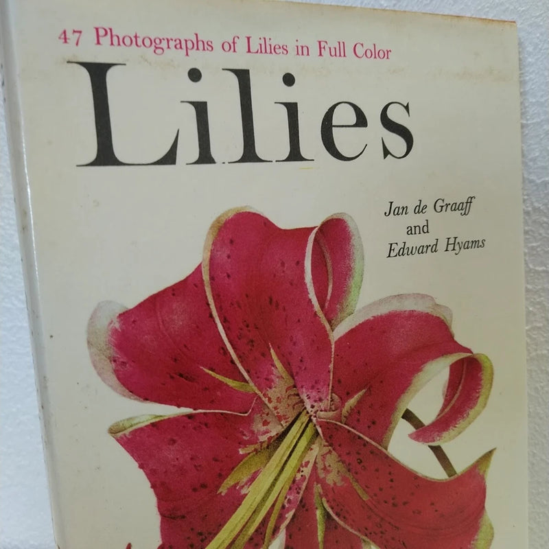 Vintage lilies photography book cover with large red-pink lily flower illustration