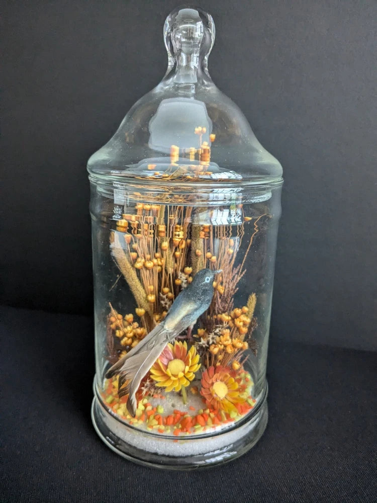 Glass dome cloche with bird and dried flowers in orange, yellow, and brown fall colors