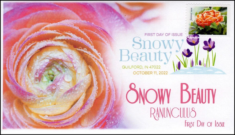 22-284, 2022, Snowy Beauty, Digital Color Postmark, First Day Cover, Ranunculus, Ranunculus