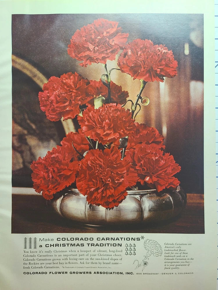 Vintage print ad featuring red carnation flowers in a vase with small caption text
