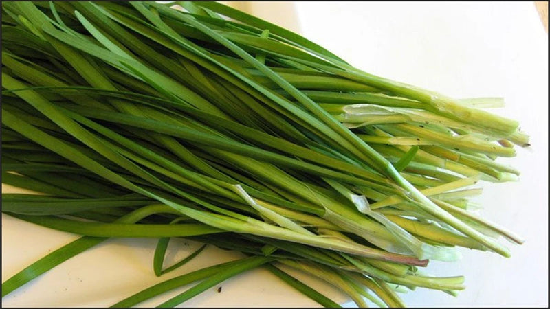 CHIVES SEEDS , H_T H_ Lç | NON-GMO | Heirloom | Garden Plants