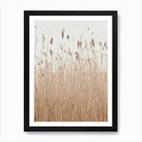 Bohemian Pampas Grass Art Print Framed Wall Art Poster Canvas Print Picture Pampas Grass