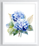 Floral Art Print, Hydrangea Floral Wall Art Print, Botanical Wall Art Decor #488 Hydrangea