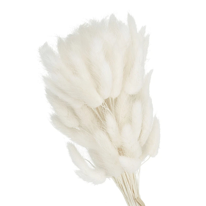 15.7in Bunny Tails Dried Flowers, 120pcs Pampas Grass Decor Rabbit Tail, White Dried Flower