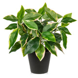 Artificial Plants Indoor Small Fake Plants in Pots Faux Pothos N' Joy Potted ... Green Plant