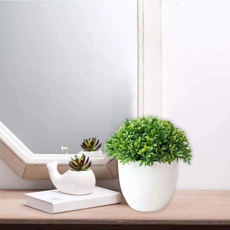 Artificial green ball plant in a white pot, with small succulent decorations on a book