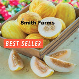 10+ Seeds SuperBall Melon Easy Vegetable Garden Planting Edible Garden Plants