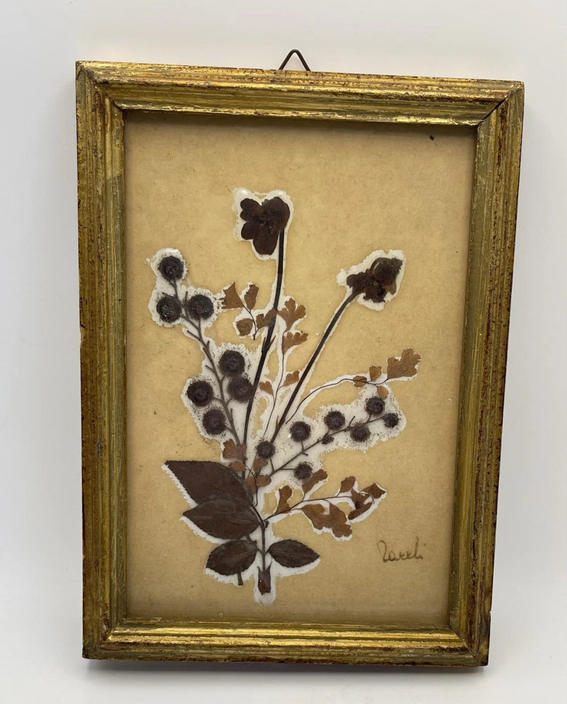 Gold framed dried herbarium flowers art, pressed dark blooms on beige background