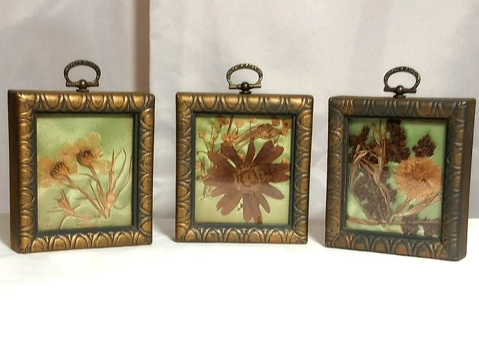 Set of 3 mini vintage dried flower art frames with gold borders, plastic covers