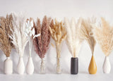 130 PCS Dried Pampas Grass Bouquet, Boho Table Decor, Bunny Tails 128pcs-b Pampas Grass