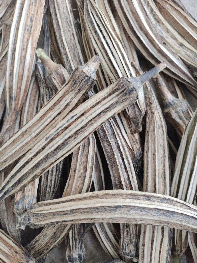 Lot Of 12 Dried Okra Pods With Seeds Inside Suitable For Crafts Or Planting Dried Flower