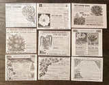 Carnation,Water Lily,Passion Flower Seed Garden Companies c1890s Print Ad Lot 9! Carnation