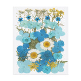 40 Pcs Dried Pressed Flower Leaves Bulk for Resin, Blue White Dried Flower