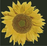Flower Sunflower Counted Cross Stitch Chart No.20-118 Sunflower