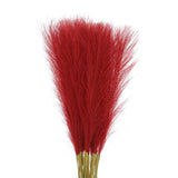 30Pcs Pampas Artificial Grass 21" Fake Pampas for Wedding Decoration Wine Red Pampas Grass