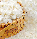Gifugi Real Ivory White Dried Hydrangea Petals For Crafting, Weddings Or DIY Hydrangea