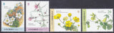 China ROC - Taiwan 2026 (2026-01-09) Alpine Plants - Flowers Flowering Plants