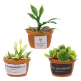3 Pcs Artificial Tiny Greenery Ornament DIY Micro Garden Flowers Garden Plants
