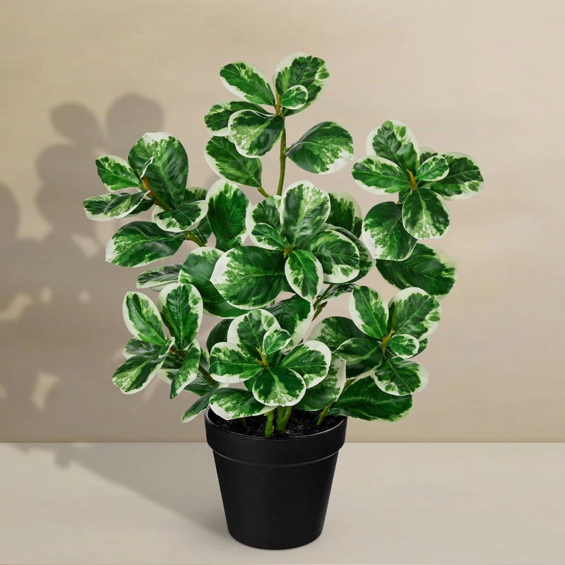 Faux ficus artificial plant with green variegated leaves in a black round pot