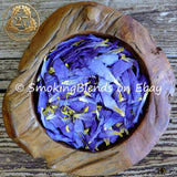 Premium Blue Lotus Flowers - Petals and Stamens Lily