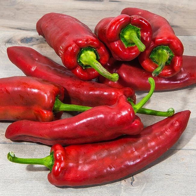 30+MARCONI PEPPER SEEDS NON-GMO FRESH FOR YOUR GARDEN Garden Plants