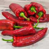 30+MARCONI PEPPER SEEDS NON-GMO FRESH FOR YOUR GARDEN Garden Plants