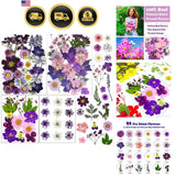 92 Pcs Purple Dried Pressed Flowers Real Natural Leave Petals for DIY Resin C... Dried Flower