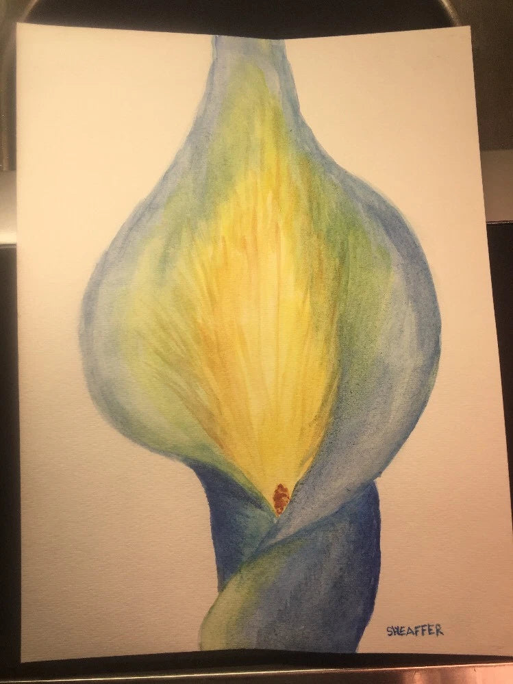 Original watercolor calla lily flower art by Sheaffer, blue and yellow bloom