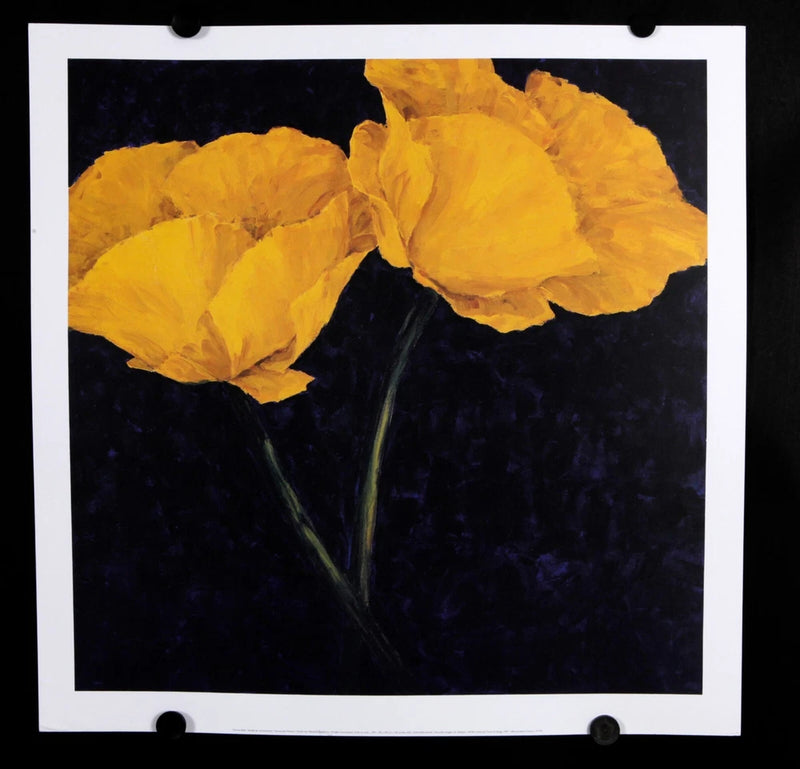 Charles Belle - Ranunculus Flowers, 1993 - 1997  - Offset Poster - Publ. by N.I. Ranunculus
