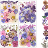 80Pcs Pressed Flowers, Dried Flowers Natural Pressed Flowers Bulk for Resin Dried Flower