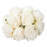 2Bouquet 10Heads Artificial Peony Silk Flower Leaf Home Office 10pcs White Peony