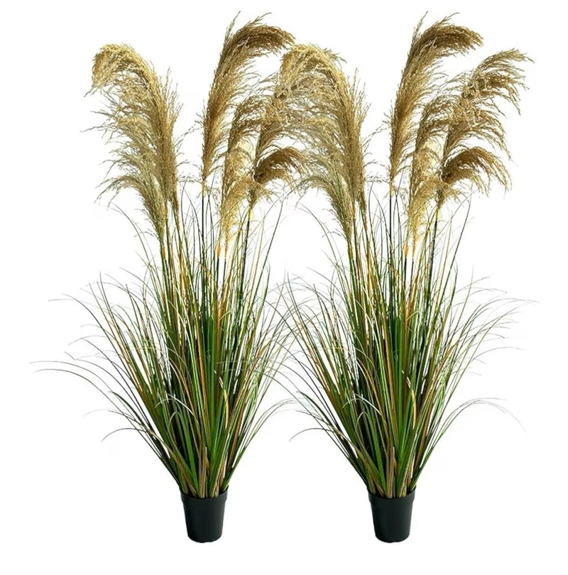 Alonfala - 57" (2-Pack) Artificial Pampas Grass in Stylish Planters Pampas Grass