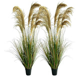 Alonfala - 57" (2-Pack) Artificial Pampas Grass in Stylish Planters Pampas Grass