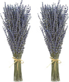 Dried Lavender 2 Bunches 100% Fresh Natural Purple Bouquet 2 Bunches, Mixed Dried Flower