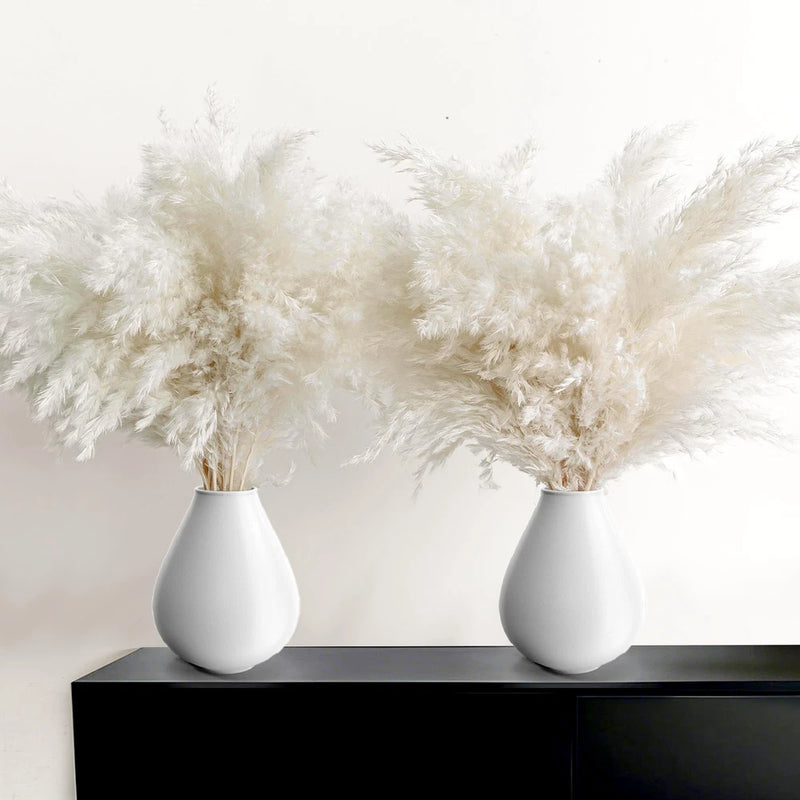 30PCS White Pampas Grass for Home Decor - Elegant Boho Decor - Premium Qualit... Pampas Grass