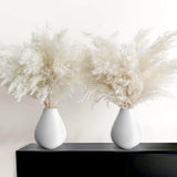 30PCS White Pampas Grass for Home Decor - Elegant Boho Decor - Premium Qualit... Pampas Grass