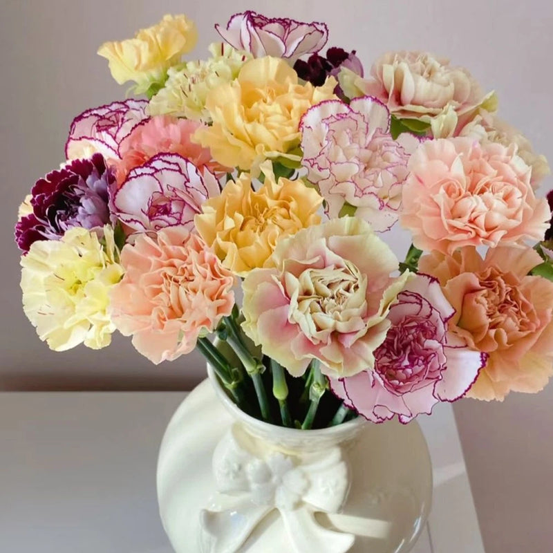 Mixed Color Flower Seeds Home Gardening Carnation Flower Seeds Double Petals Carnation