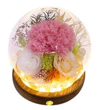 Long-Lasting Real Flowers, Pink Carnation, White Rose, Yellow-Champagne Rose Carnation