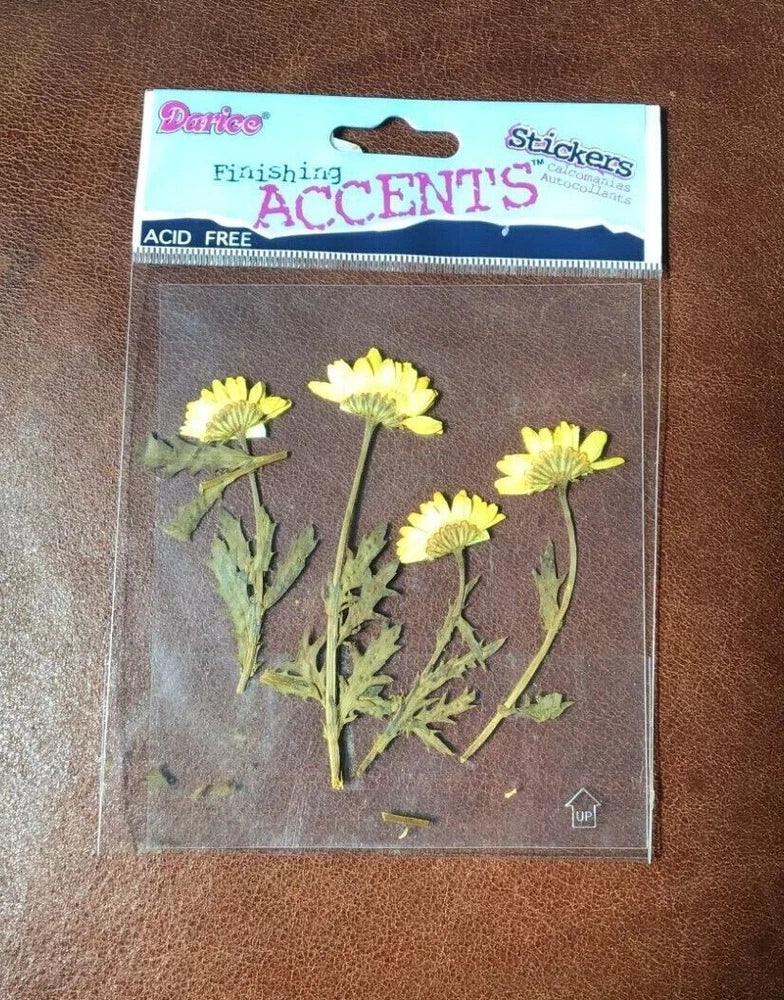 Darice DRIED BOTANICALS Dried Yellow Flower Stickers NIP FREE SHIPPING NOS Dried Flower