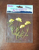 Darice DRIED BOTANICALS Dried Yellow Flower Stickers NIP FREE SHIPPING NOS Dried Flower