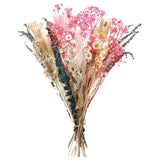 32 PCS Dried Flowers Bundle Set with Pampas Grass Lavender Eucalyptus Pink Wh... Pampas Grass