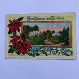Merry Christmas From California Pampas Grass East Lake Park Postcard Posted 1914 Pampas Grass
