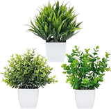 Artificial Potted Eucalyptus Green Plants For Home Decor & Office (Set of 3) Green Plant