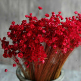 Natural Floral Branches Bouquet Colorful Dried Daisy Blossom Home Decoration Red Dried Flower